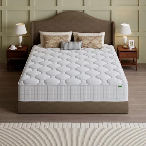 Kasur Queen, Kasur Busa Memori - Memory Foam Mattress In A Box Queen ulasan dan harga